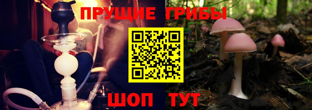 Лабинск  Галлюциногенные грибы ЛСД  Псилоцибиновые грибы Psilocybe  Вход с VPN 
